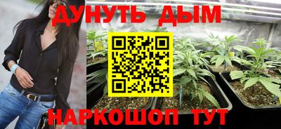 тгк Дубна
